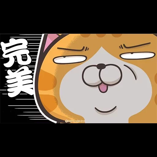 cat, anime, cat, excite, character