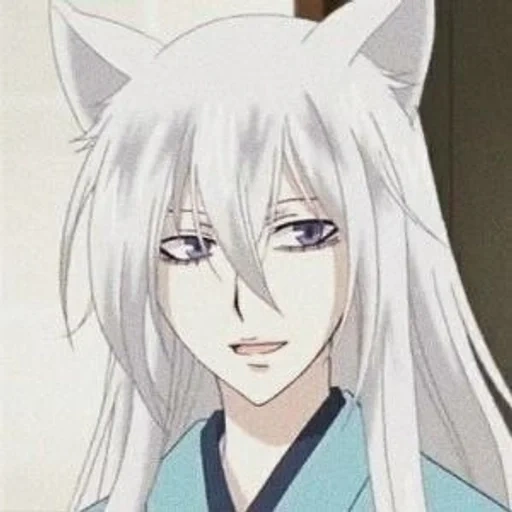 tomoe, anime de tomoe, tomoe wild fox, demon fox tomoe, muito bom deus tomoe