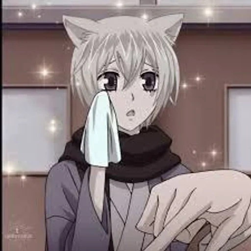 tomoe anime, tomoe dear, tomoe mikage, fox tomoe is embarrassed, very nice god tomoe