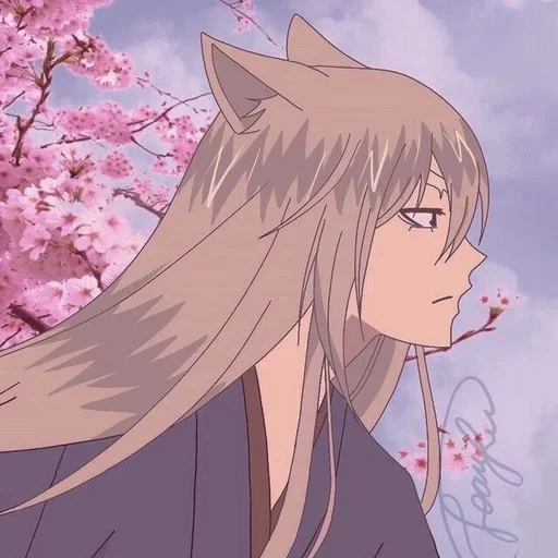 youhai-san, fox youhe, anime di tomoe, tomoe sanaga, zhihe molto piacevole