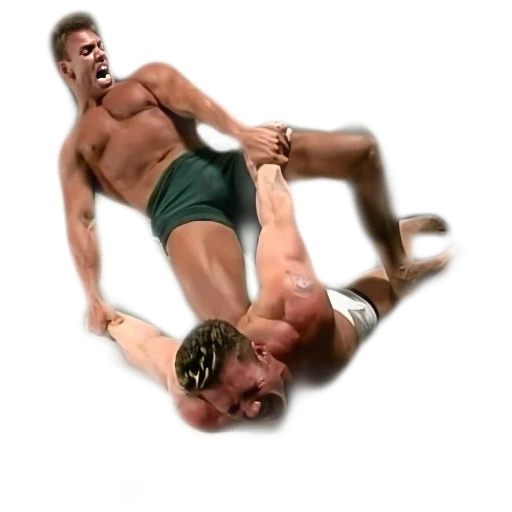 billy herrington, gachimuchibili wrestling