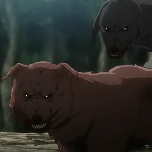 собака, аниме медведь, волки инадзумы, волчий дождь аниме, тибетский пёс аниме