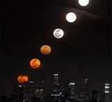 moon, night, yellow moon, moonrise, the moon is over the city