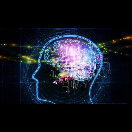 cérebro, consciência, o cérebro é inteligente, aumente seu cérebro, personalidade do diário e psicologia social