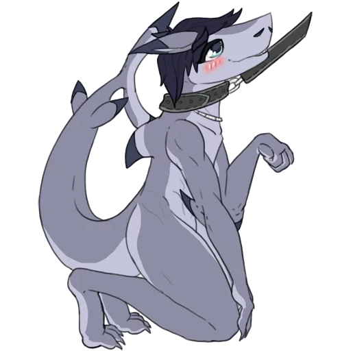 anime, furri shark, furson sergal, furri shark pessoal, furri girls shark