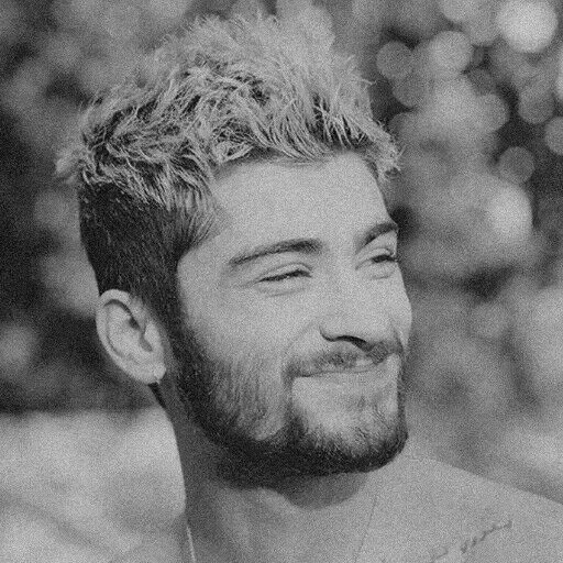 zayn, der bart, männlich, brasilien, zanin malik