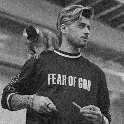 der junge mann, männer, zanin malik, zane malik grünes haar, zayn malik mit grünem haar