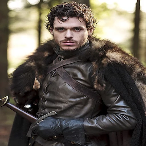 robb stark, game of thrones, john snow game of thrones, richard madden robb stark, richard madden game of thrones