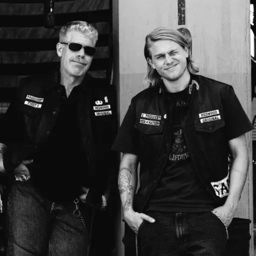 the male, pilot performer, sons of anarchy hopper, green day and blink 182, 100 watt vipers salvation blues 2017