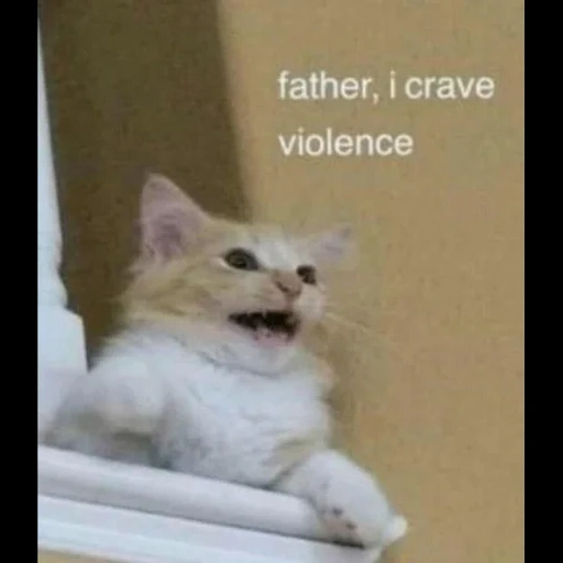 kucing, kucing, kucing itu lucu, kucing itu lucu, ayah saya mendambakan kekerasan