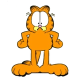 Garfield & friends