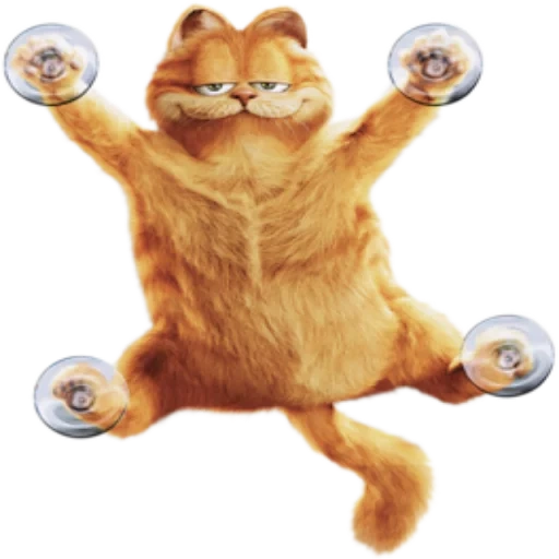 gato, perro marino, garfield, garfield 3, garfield