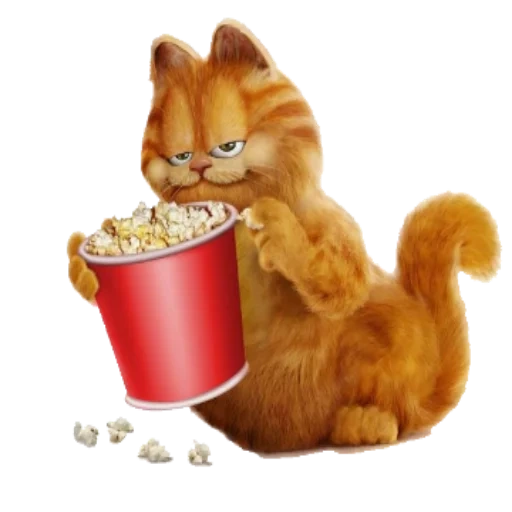 kucing, garfield, garfield, popcorn cat, film garfield popcorn