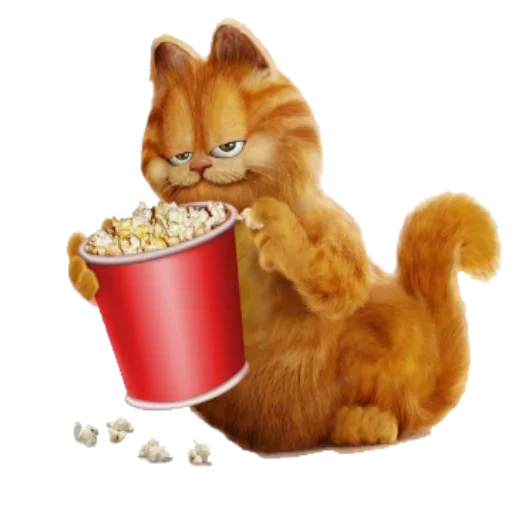 gato, garfield, garfield, gato de palomitas de maíz, película de palomitas garfield