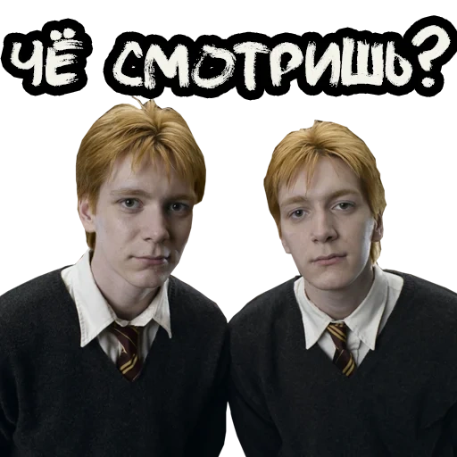 ron weasley, harry potter, brother weasley fred george, harry potter weasley twins