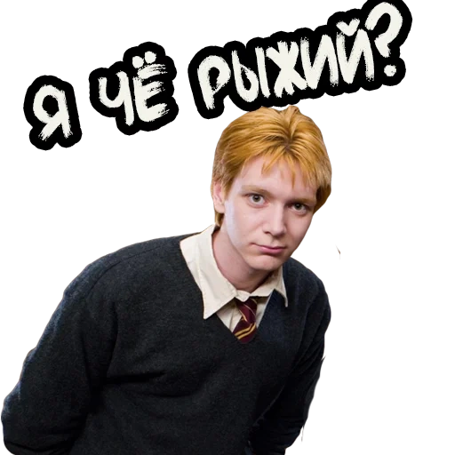 bildschirmfoto, ron weasley, harry potter, weasley george, weasley harry potter
