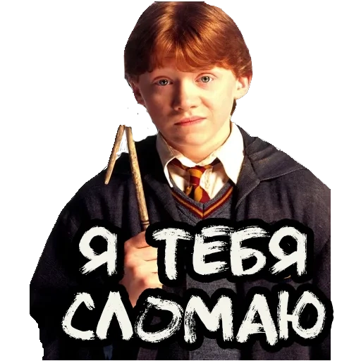 ron weasley, harry potter, ron harry potter, halipotron weasley, harry potter harry potter