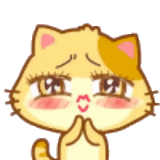 chatte souriante, joli visage souriant, chat mignon avec un visage souriant, chat d'expression japonaise, phoque japonais souriant