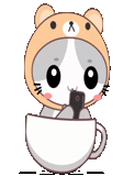 animação, imagem colorida, café chuanwai chibi, foto de kawai, gatinho japonês