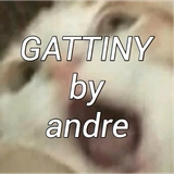 gattiny