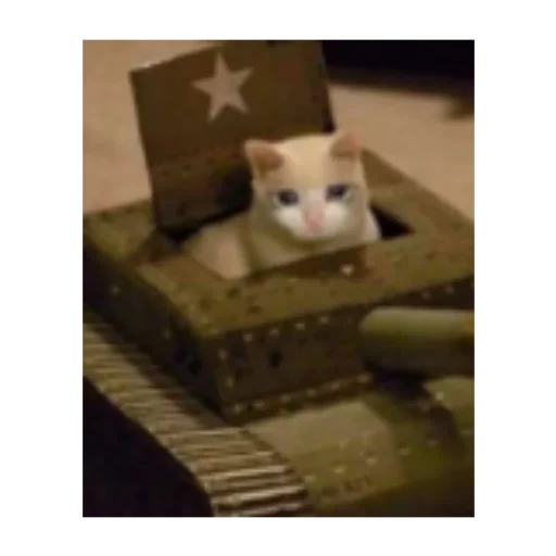 gatto gatto, tank cat, serbatoio di gatto, tancia di gatto, serbatoio di gatto