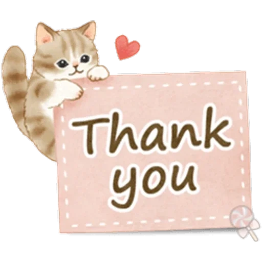 chat de fan, thank you cat, cat thank you, thank you sister, thank you my heart