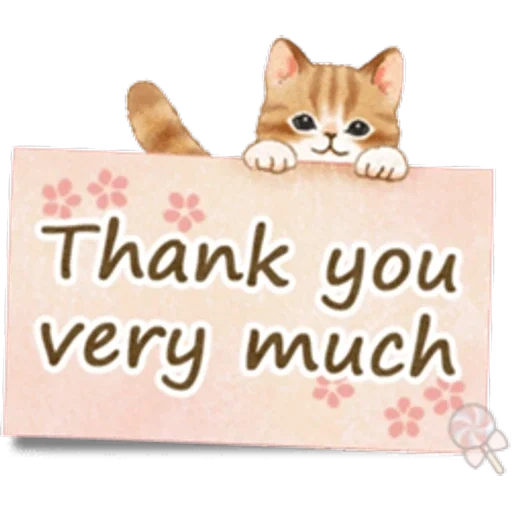 котики, спасибо, спасибо кот, thank you cat, открытка thank you very much