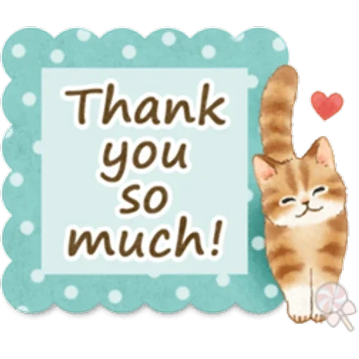 cat, gatto, gatto thank you, tanks per share, cartolina thank you very much