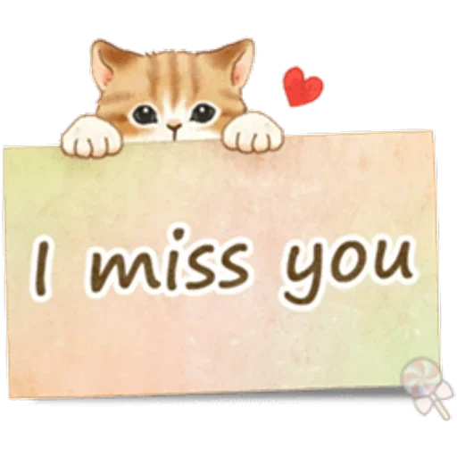 seal, i miss you, a lovely kitten, miss you kitten, inscription of i miss you