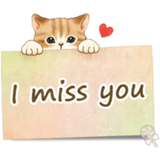 котики, i miss you, милые котята, miss you котенок, i miss you надпись