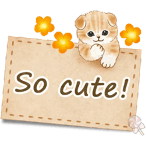 cat, cute, so cute, chat mignon, you are so sweet