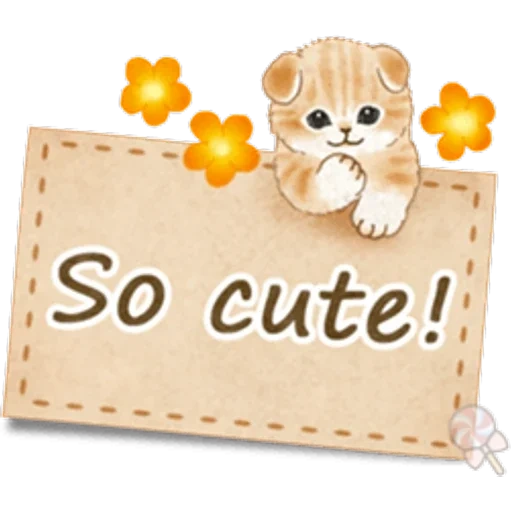 cat, cute, sute, lindo gato, youare so sweet