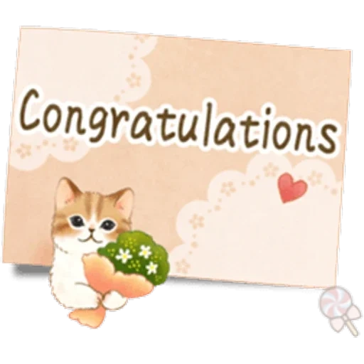 cat, cat, english version, congratulations cat, joyeux anniversary cards for women
