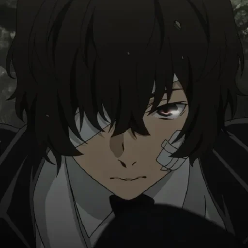 dazai, dadzai, a família de dazai, osamu dadzai, de cães vadios