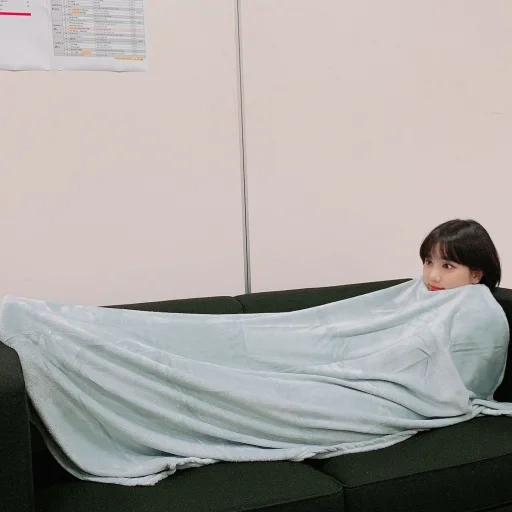 blanket, human, interior, blade with sleeves, the blanket is heated