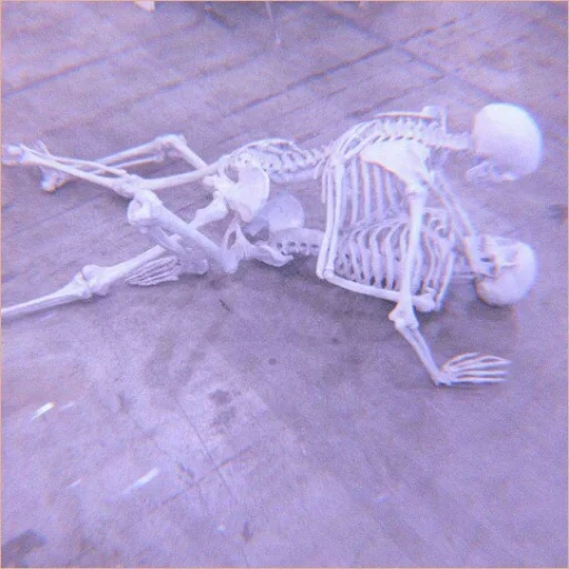 lunar esqueleto, modelo de esqueleto, esqueleto humano, artista de mark quinn
