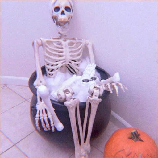 das skelett, halloween skelett, halloween skelett, halloween skelett, menschliche knochen