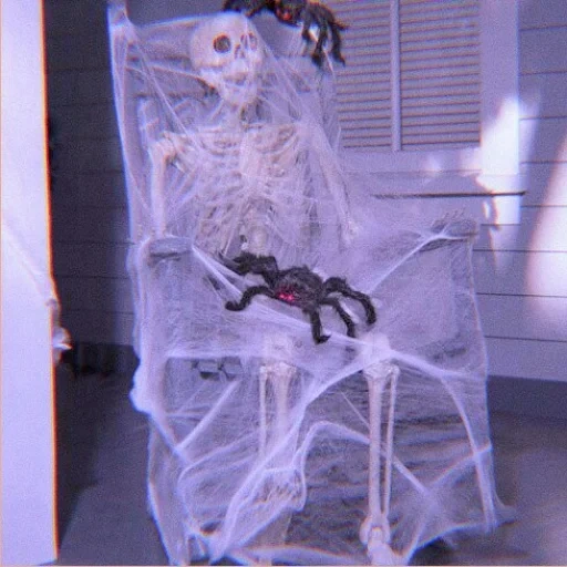 das skelett des hauses, spinnennetzskelett, halloween spinnennetz, halloween skelett, halloween spinnennetz garn