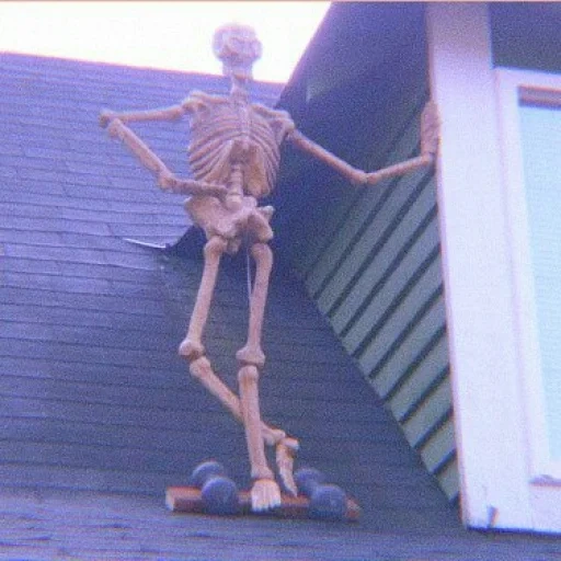halloween, the skeleton is a dummy, man skeleton, halloween skeleton, human skeleton