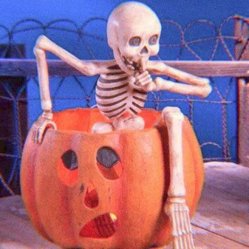 funny, halloween, skelett-kürbis, halloween skelett, festliche halloween skelett