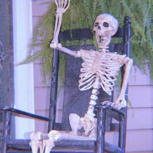 skeleton, the bones of the skeleton, a terrible halloween, human skeleton, halloween decorations