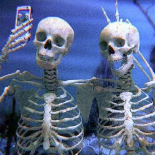 squelette, escouade, trois squelettes, squelette vivant, deux squelettes de petite amie squelette