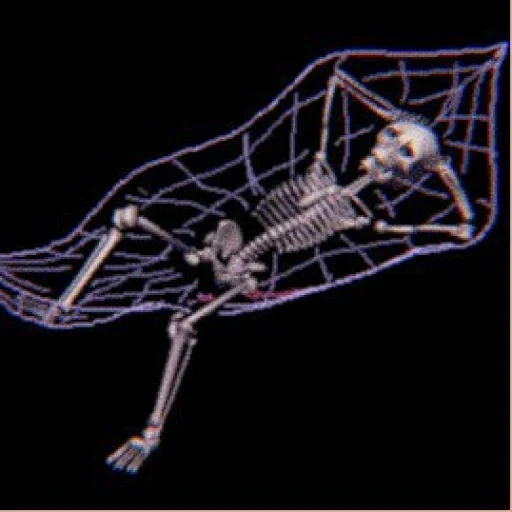 das skelett, das skelett liegt, ruhendes skelett, die küste des skeletons, menschliche knochen