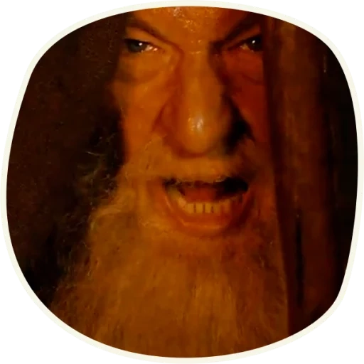 gandalf, meme gandalf, lord of the rings, lord gandalf