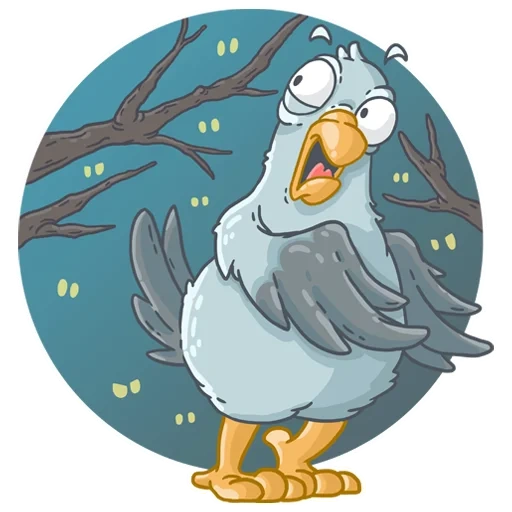 gaivota, sr dove, top funny animal seagull