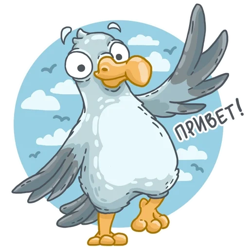 голубь, seagull, мистер голубь