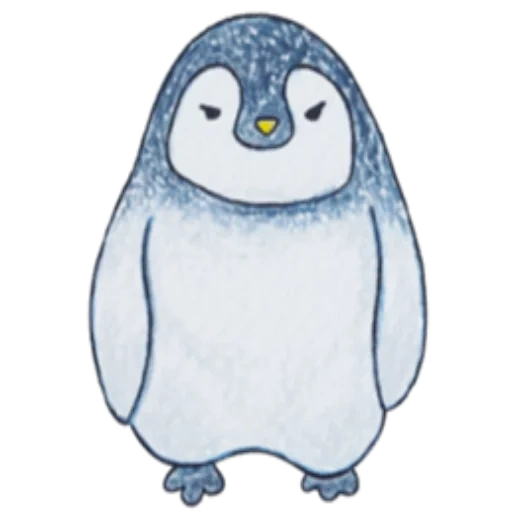 penguin yang indah, penguin srisovka, gambar pigwinhenka, seni penguin gemuk, gambar penguin kecil yang lucu