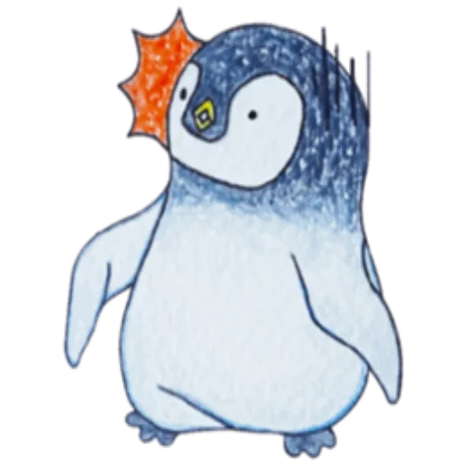 imagen, pingüino, caricatura de pingüino