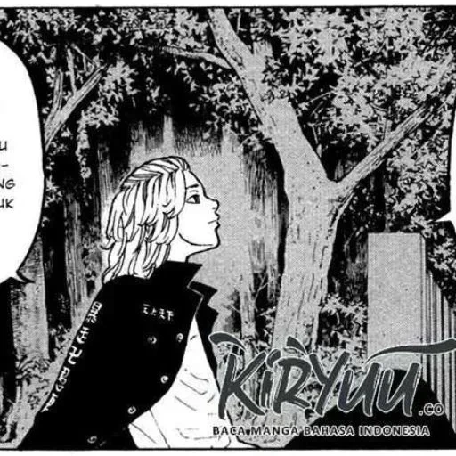 manga, manga forestier, manga manga, manga populaire, manga de trèfle noir