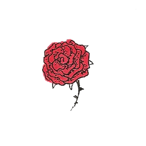 розы, вектор роза, рисунок роза, роза набросок, роза минимализм